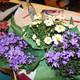 IMG 6061